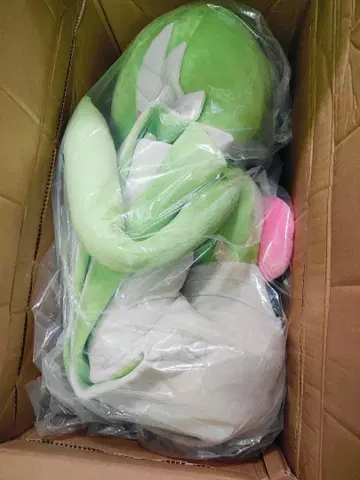 서나이트 등신대 봉제 인형 포켓몬 센터 온라인