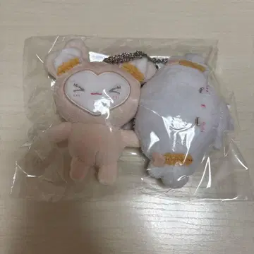 TWICE 백참 다현 코기뮤른