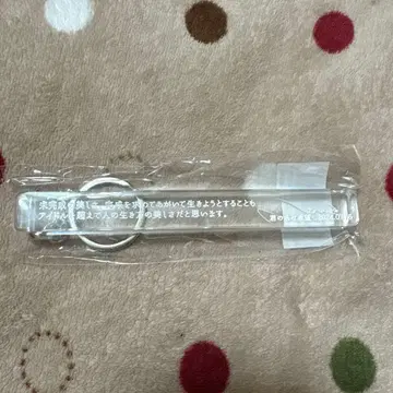 노기자카46 이케다 에레나 룸 키링 개인전 Wings 오리의 꿈