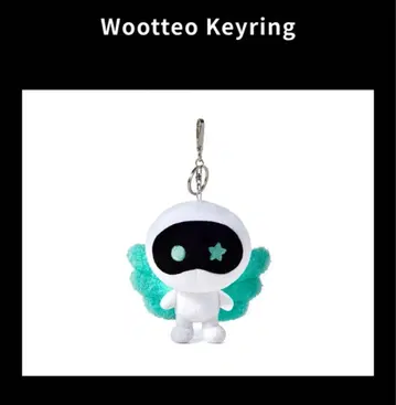 BTS JIN TOUR [ RUNSEOKJIN ] 우떠 키링