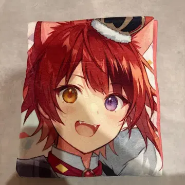 스토푸리 리이누 군 타월