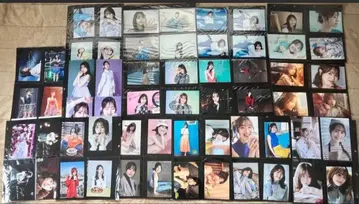 이토 미쿠 브로마이드 세트 100장 이상