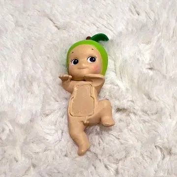 히퍼스 소니 엔젤 양배