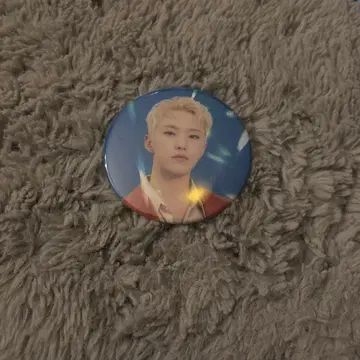 seventeen 캔뱃지 bethesun 호시 수녕