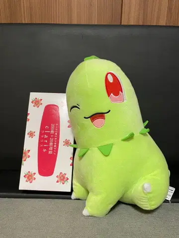 치코리타 봉제 인형 약 25cm