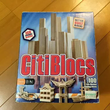 CitiBlocs 100 피스