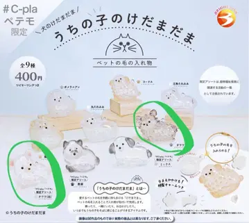 우리 아이 털뭉치 블랙 치와와 1개 화이트 치와와 2개