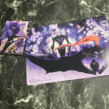 나 혼자만 레벨업 23권 특전 애니메이트 한정 B6 사이즈 비주얼 보드