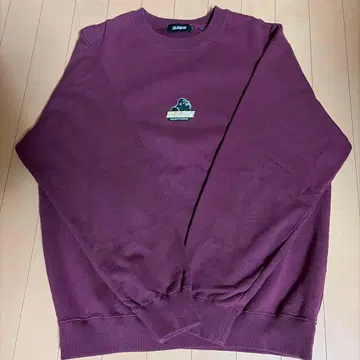 XLARGE 트레이닝복 M 사이즈 보라색