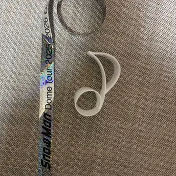 Snow Man Dome Tour 2025-2026 리본