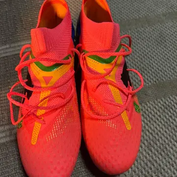 푸마 퓨처 한정품