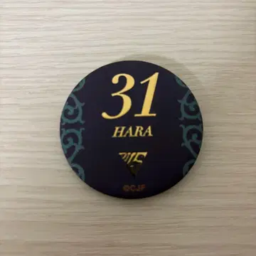 하라 슈타 캔뱃지