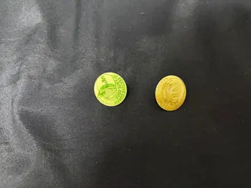 명탐정 코난 핀즈