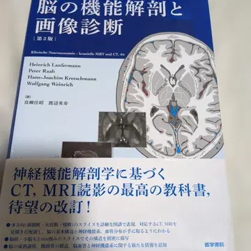 뇌의 기능 해부와 이미지 진단