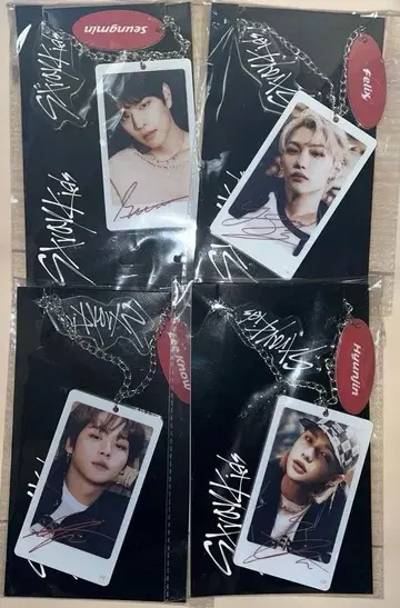 straykids 리노 필릭스 현진 승민