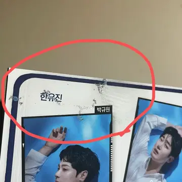 2024-25 종의기원 실황 DVD | 브랜드 중고거래 플랫폼, 번개장터