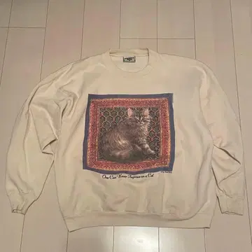 리 맨투맨 크림색 고양이