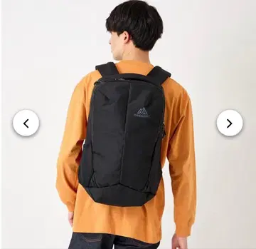 GREGORY 백팩 루누 22