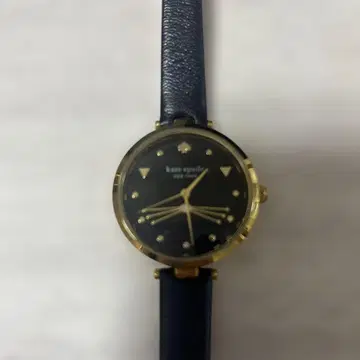 케이트 스페이드 손목시계 블랙 고양이