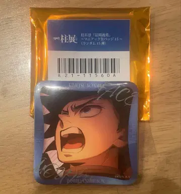 귀멸의 칼날 기둥전 기둥백경 매니아 캔뱃지 토미오카 기유