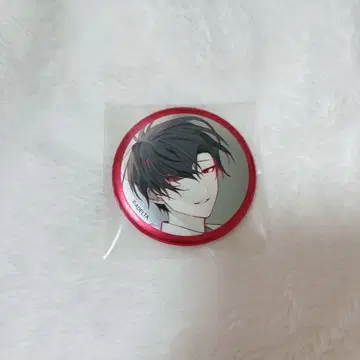 아리아케 캔뱃지