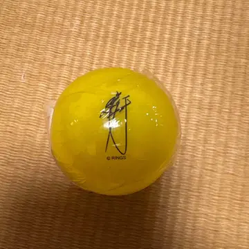 UWF 사인볼 마에다 아키라 마에다 아키라 가챠