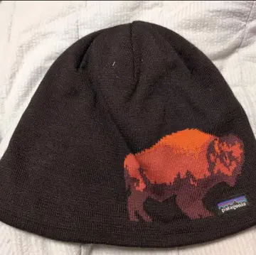 patagonia 바이슨 니트 모자 비니 방한