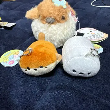 코로코로 라이프 시마에나가 참새 봉제 인형 세트