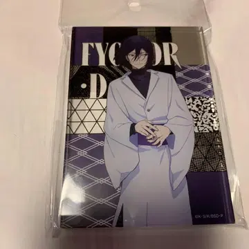 문호 스트레이독스 아크릴 블록 현대 일본 의류 효도르 D