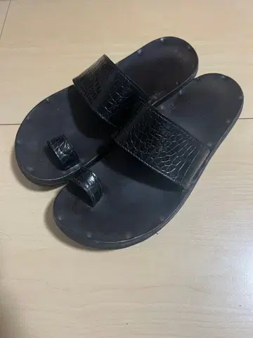 유타 뉴먼 에디피스 별주품