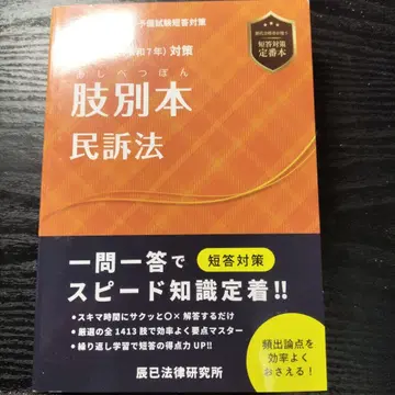 지별본 민소법 2025년 대책