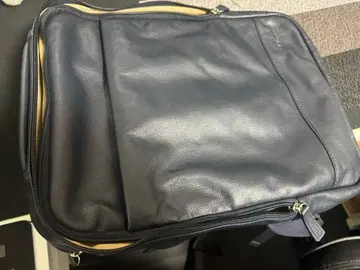 ACE 에이스 다윈 비즈니스 백팩 [ 천연 가죽 가죽 백팩 ]