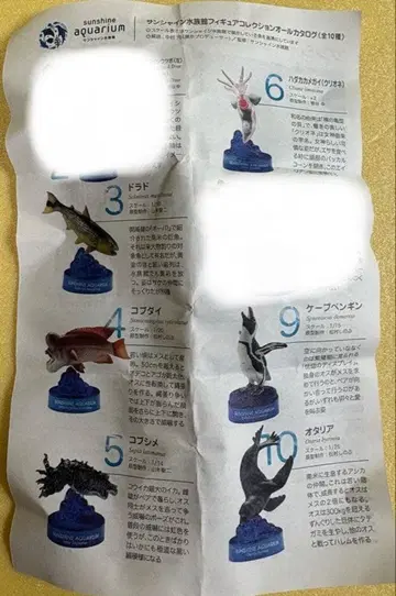 선샤인 수족관 피규어 컬렉션 [ 6종 세트 ] 생물 도감 카이요도