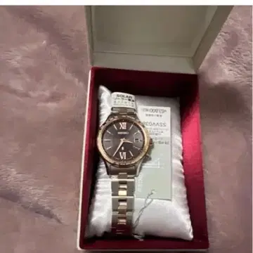 세이코 루키아 손목시계