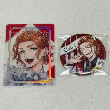 트위스테 플라티나 자켓 클리어 카드 오메카시 벌스데이 캔뱃지 케이트