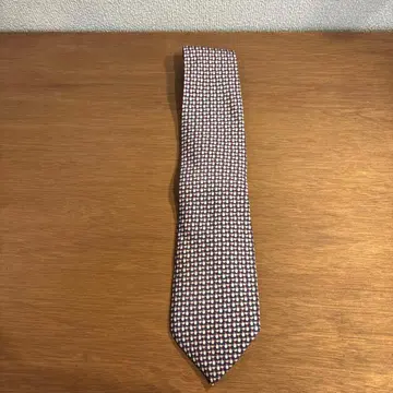 Salvatore Ferragamo 넥타이