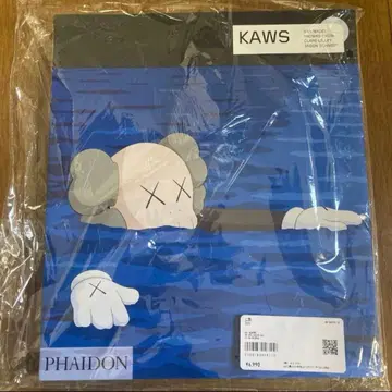 KAWS 페이돈 작품집 아트북 유니클로