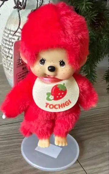 세키구치 고토치 몬치치 도치기 한정판 딸기