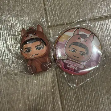 FANTASTICS 세구치 레이야 인형옷 키링 캔 배지 세트