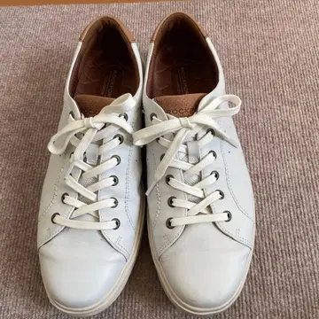 ROCKPORT 화이트 스니커즈 트레이닝 슈즈