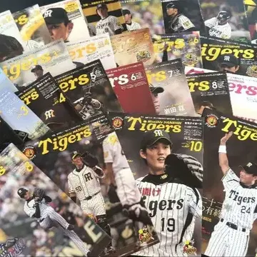 월간 Tigers 2013/8~2016/10호 36권 세트