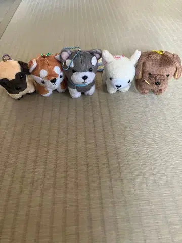 멍멍 프렌즈 마스코트 강아지 봉제 인형 5개 세트