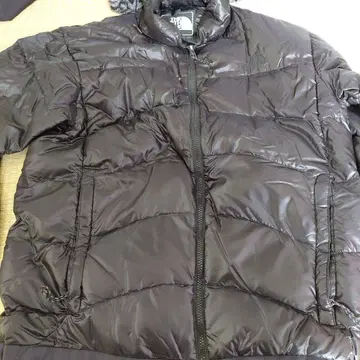 THE NORTH FACE SUMMIT SERIES 다운 자켓