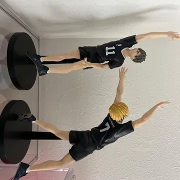 하이큐!! 미야 형제