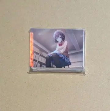 프로세카 시노노메 에나 35 노블 아트 니고