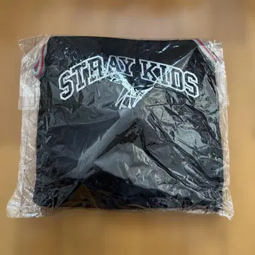 Stray Kids 스키즈 업그레이드 특전 에코파