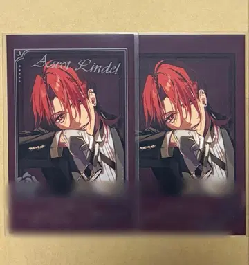 미스트니아의 날개 희망 오토메이트 마켓 미니 포토 카드 서명 애스콧