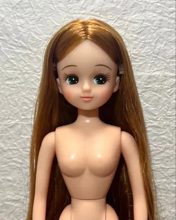 리카짱 캐슬 2014년도판 크리스마스 모델 리카짱