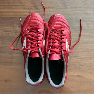 모나르시다 NEO 3 PRO 23.5cm