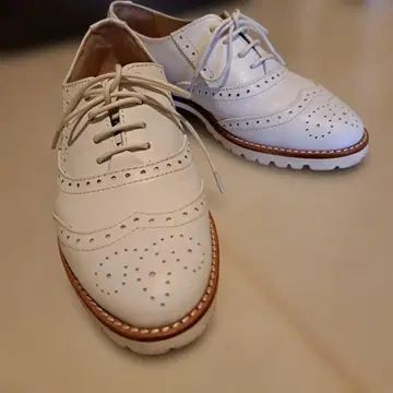 화이트 브로그 레이스업 슈즈 220